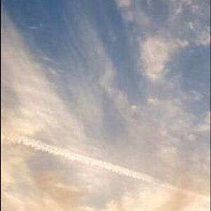 Meet your Posher, Mackenzie